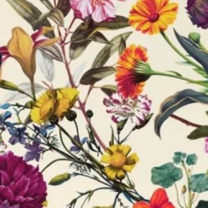 Meet your Posher, Katelin